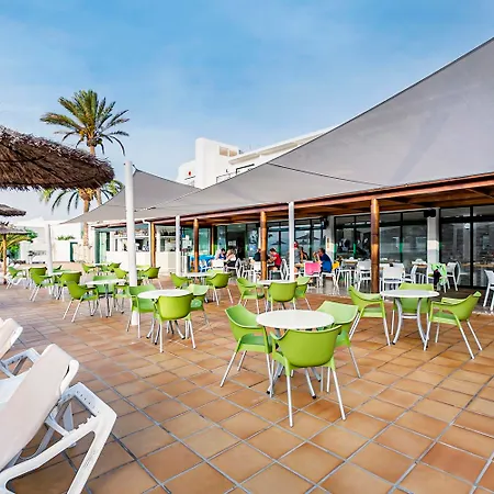 Thb Flora Puerto del Carmen (Lanzarote)
