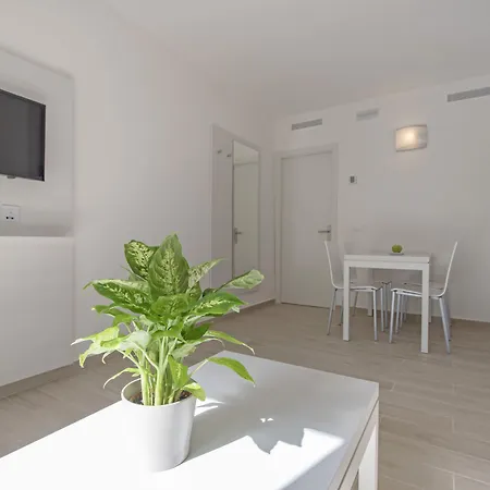 Thb Flora فندق 3*